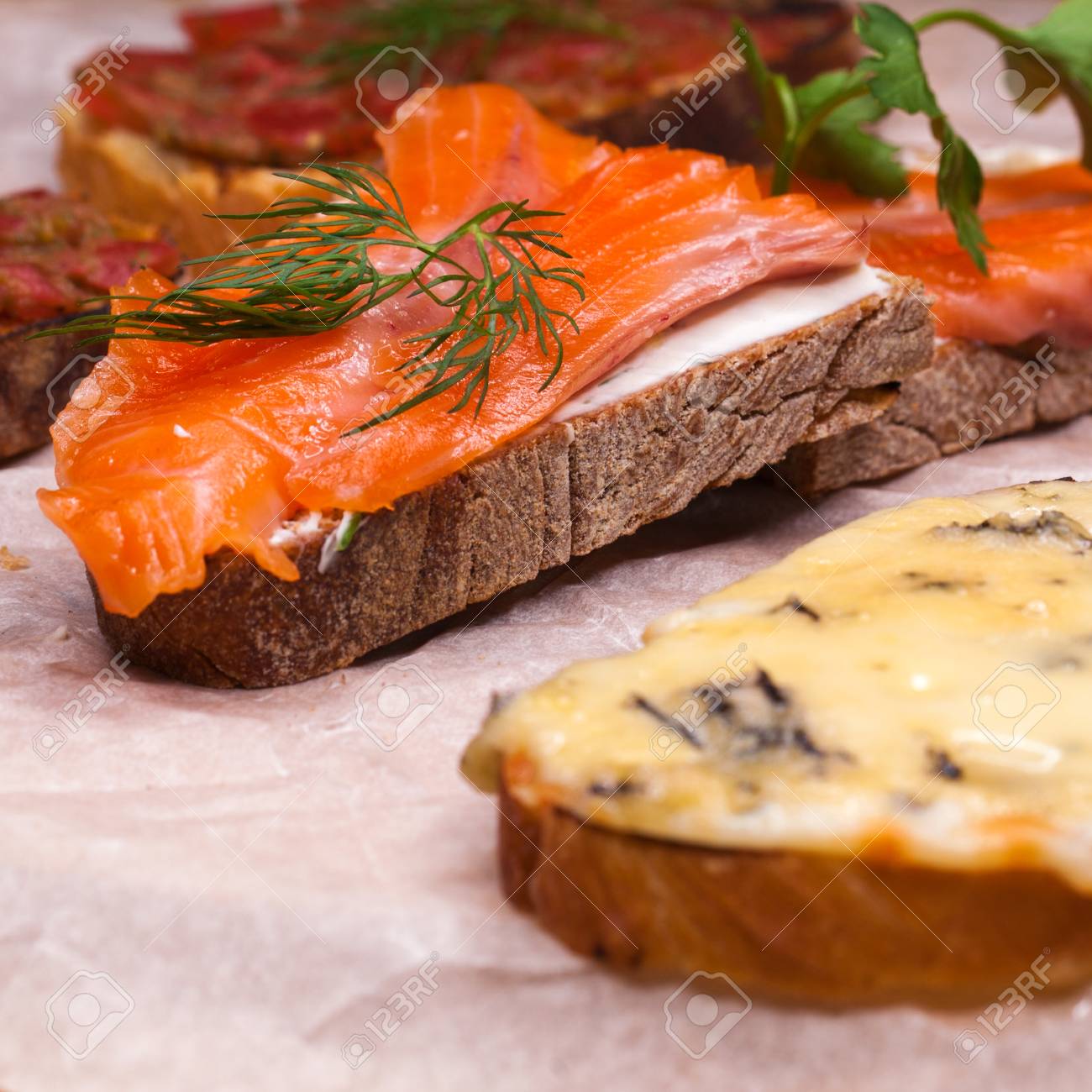 toasted toast with salmon and cheese different types of sandwiches