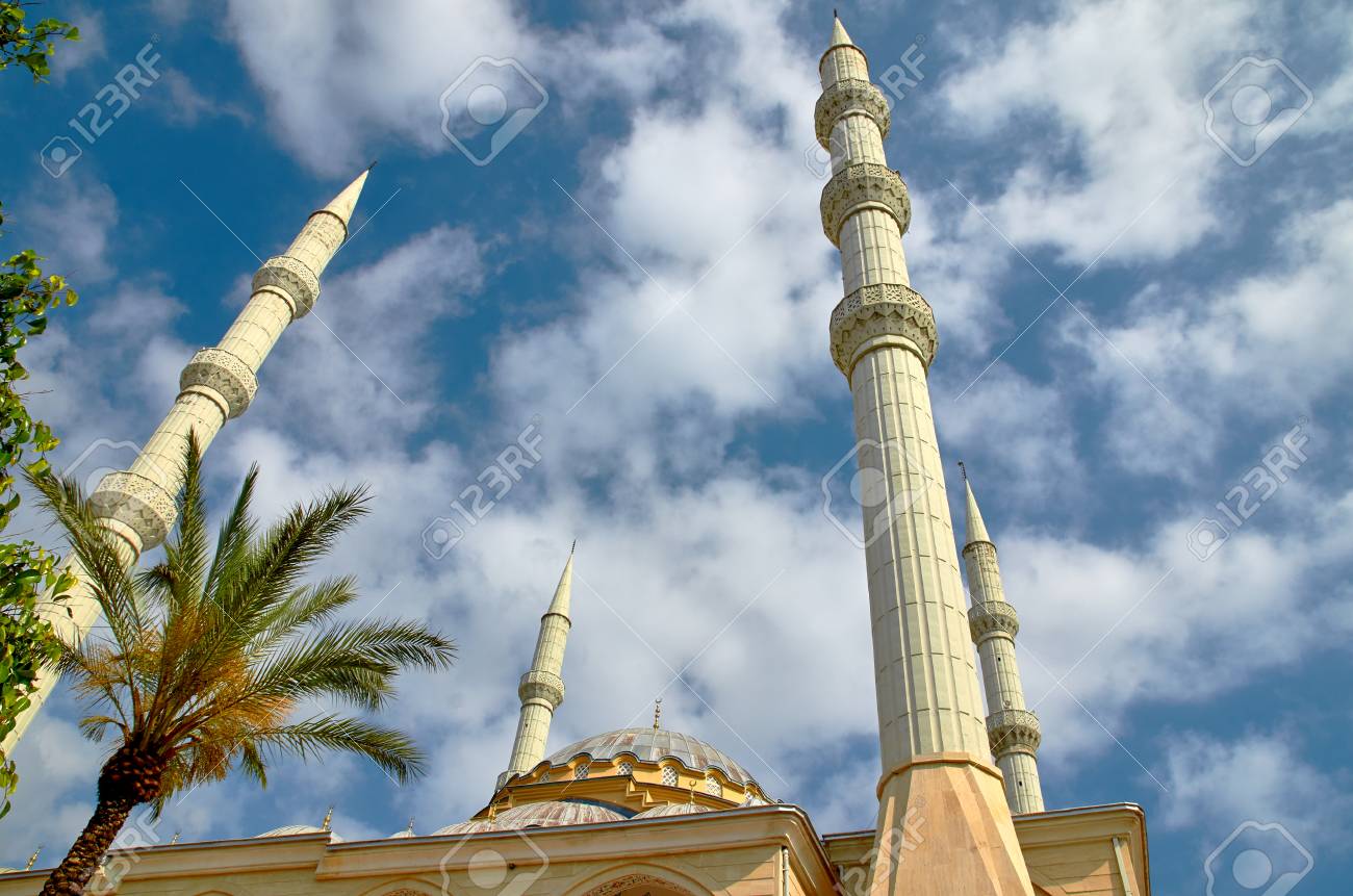 etiam-dictum-ipsum-a-felis