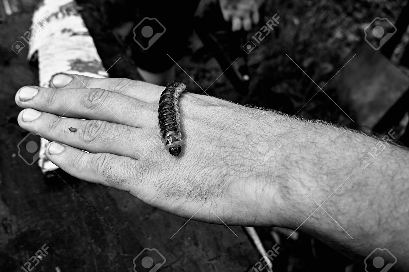 etiam-dictum-ipsum-a-felis