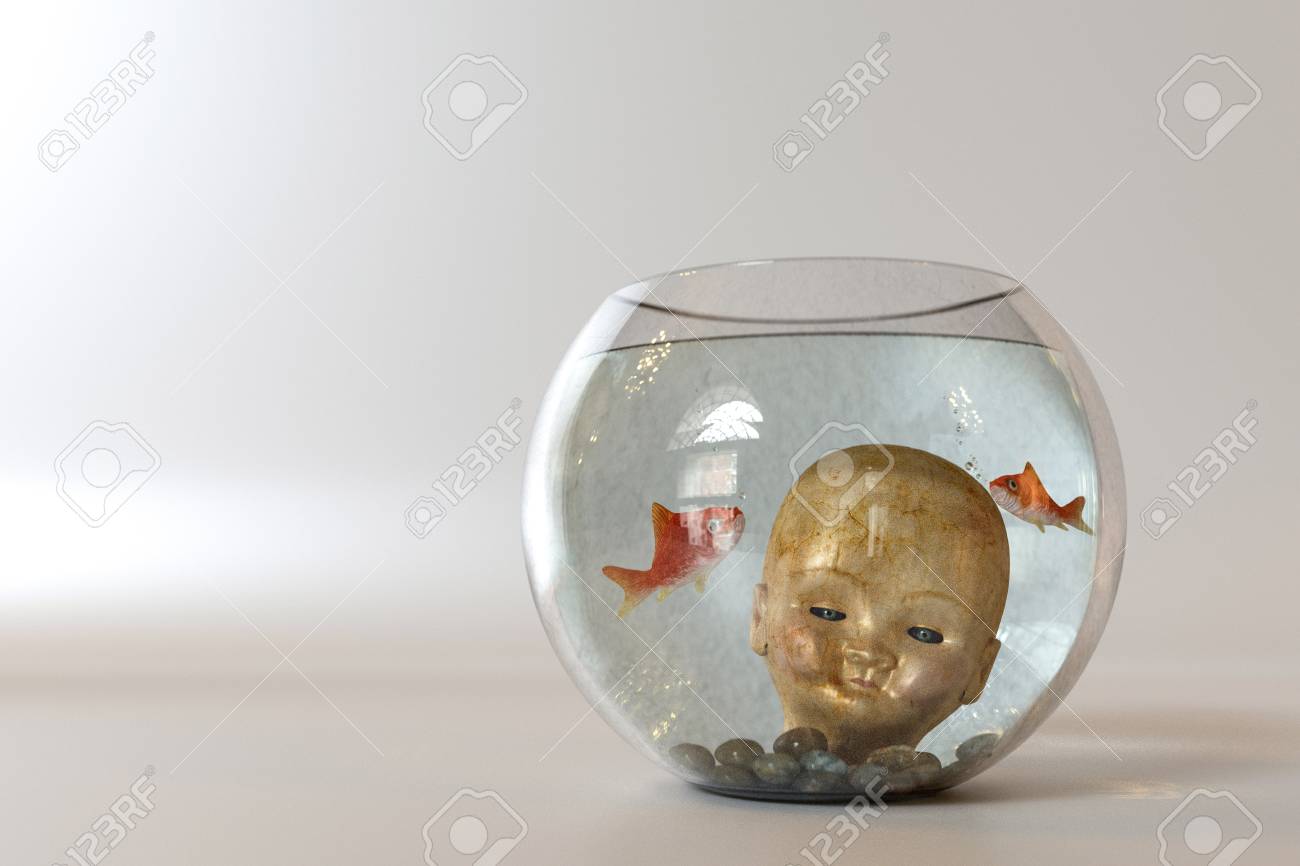 白い背景で隔離の金魚鉢に人形の頭 の写真素材 画像素材 Image 白い背景で隔離の金魚鉢に人形の頭 の写真素材 画像素材 Image