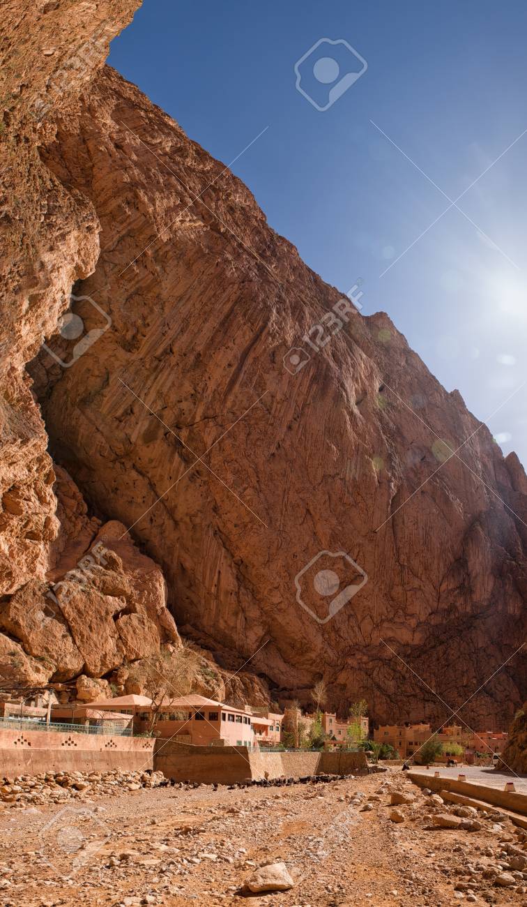 etiam-dictum-ipsum-a-felis