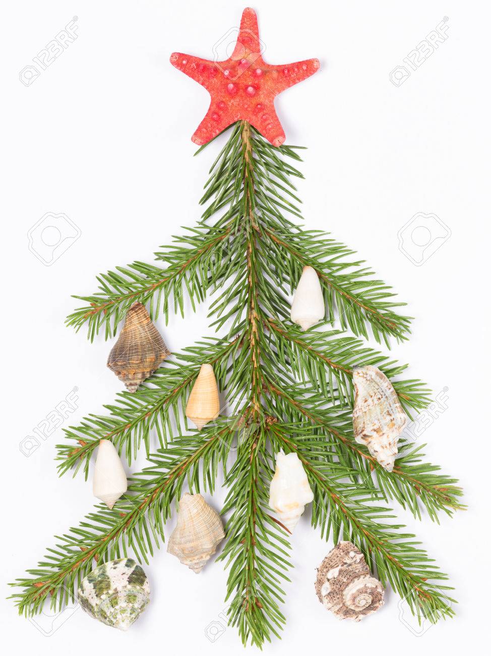 Stella Puntale Albero Di Natale.Immagini Stock Verde Albero Di Natale Fatto Di Ramoscelli Decorato Con Conchiglie E La Punta Della Stella Rossa Image 31243499