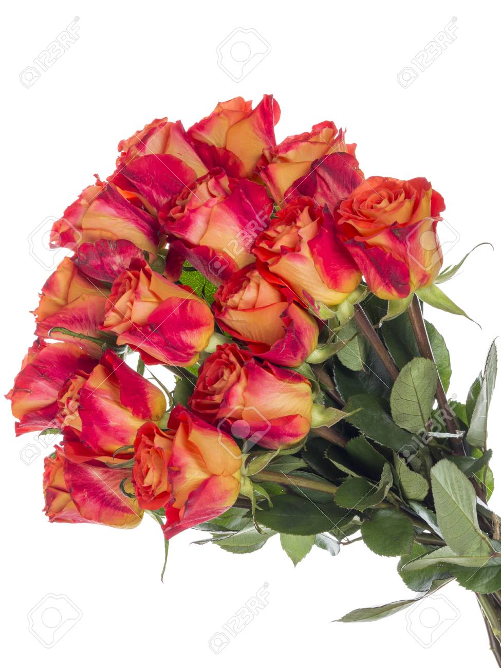 Beautiful Bright Bouquet Of Red-orange Two-color Rose Flowers - Beautiful Bright Bouquet Of Red-orange Two-color Rose Flowers