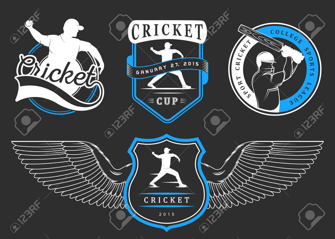 Set Of Cricket Team Emblem Design Elements Vector Sign And Logo