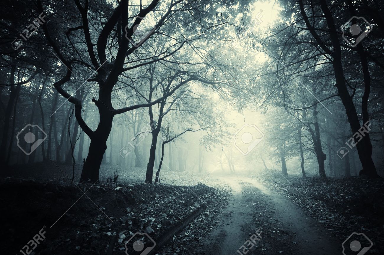 Path Through A Dark Mysterious Forest Stock Photo Picture And Royalty Free Image Image Path Through A Dark Mysterious Forest Stock Photo Picture And Royalty Free Image Image