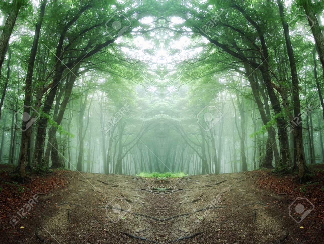 Chemin A Travers Une Foret Mysterieuse Banque D Images Et Photos Libres De Droits Image