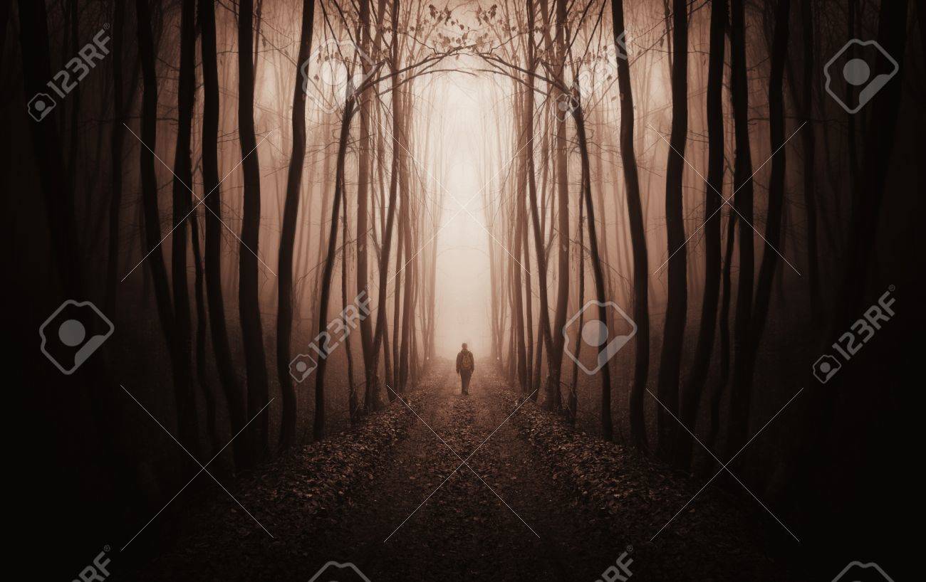 fantasy forest with a man walking trough fog - 17204996 fantasy forest with a man walking trough fog - 17204996
