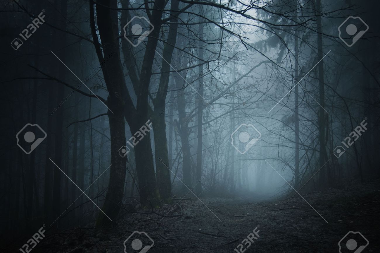 Path In A Dark Mysterious Forest With Fog On Halloween Night Stock Photo Picture And Royalty Free Image Image