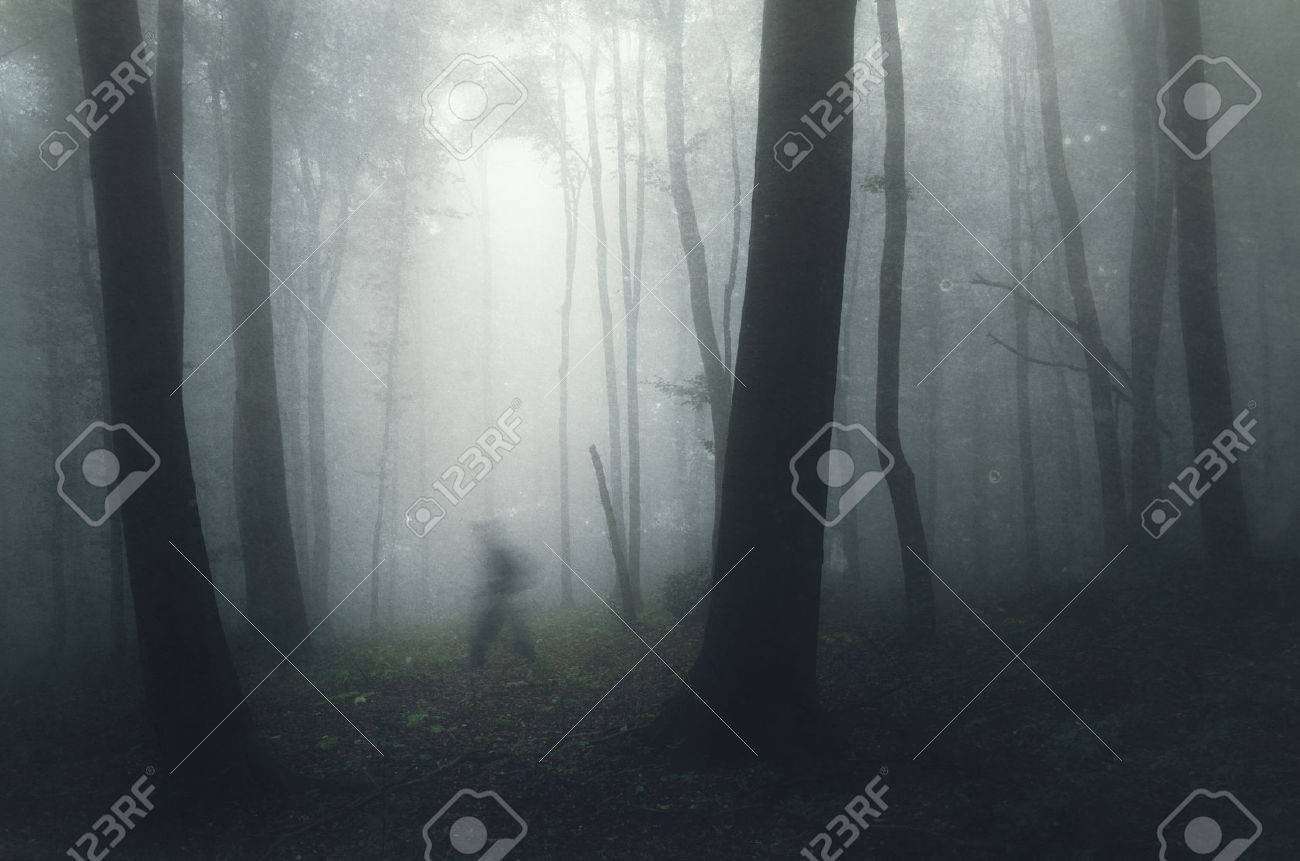 Ghost walking in dark mysterious haunted forest with fog - 40601397 Ghost walking in dark mysterious haunted forest with fog - 40601397