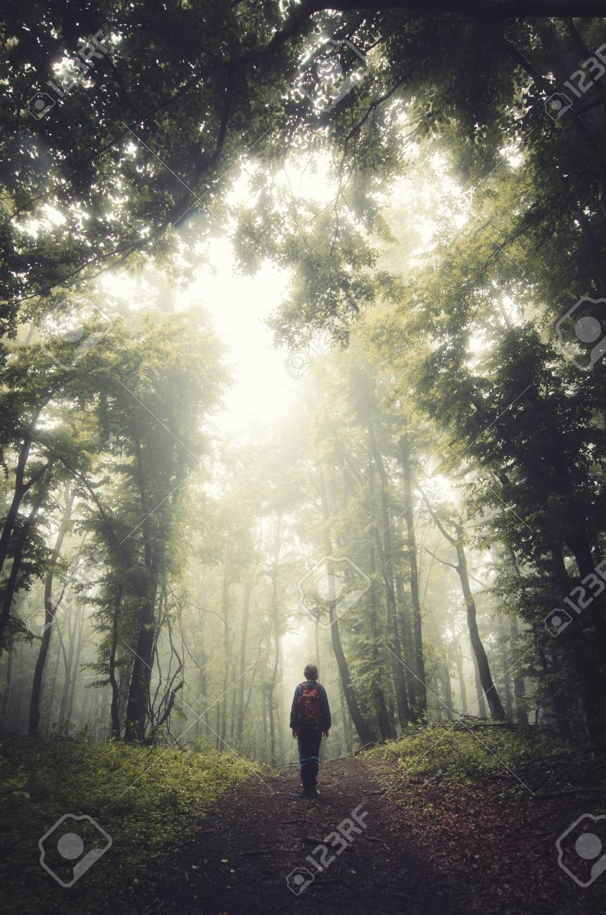 Man On Path In Mysterious Enchanted Forest With Fog Silhouette Stock Photo Picture And Royalty Free Image Image
