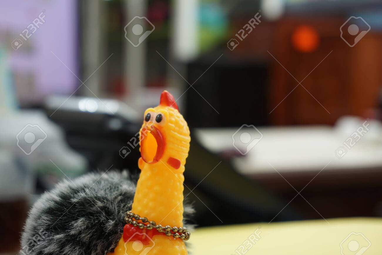 yellow squeaky chicken