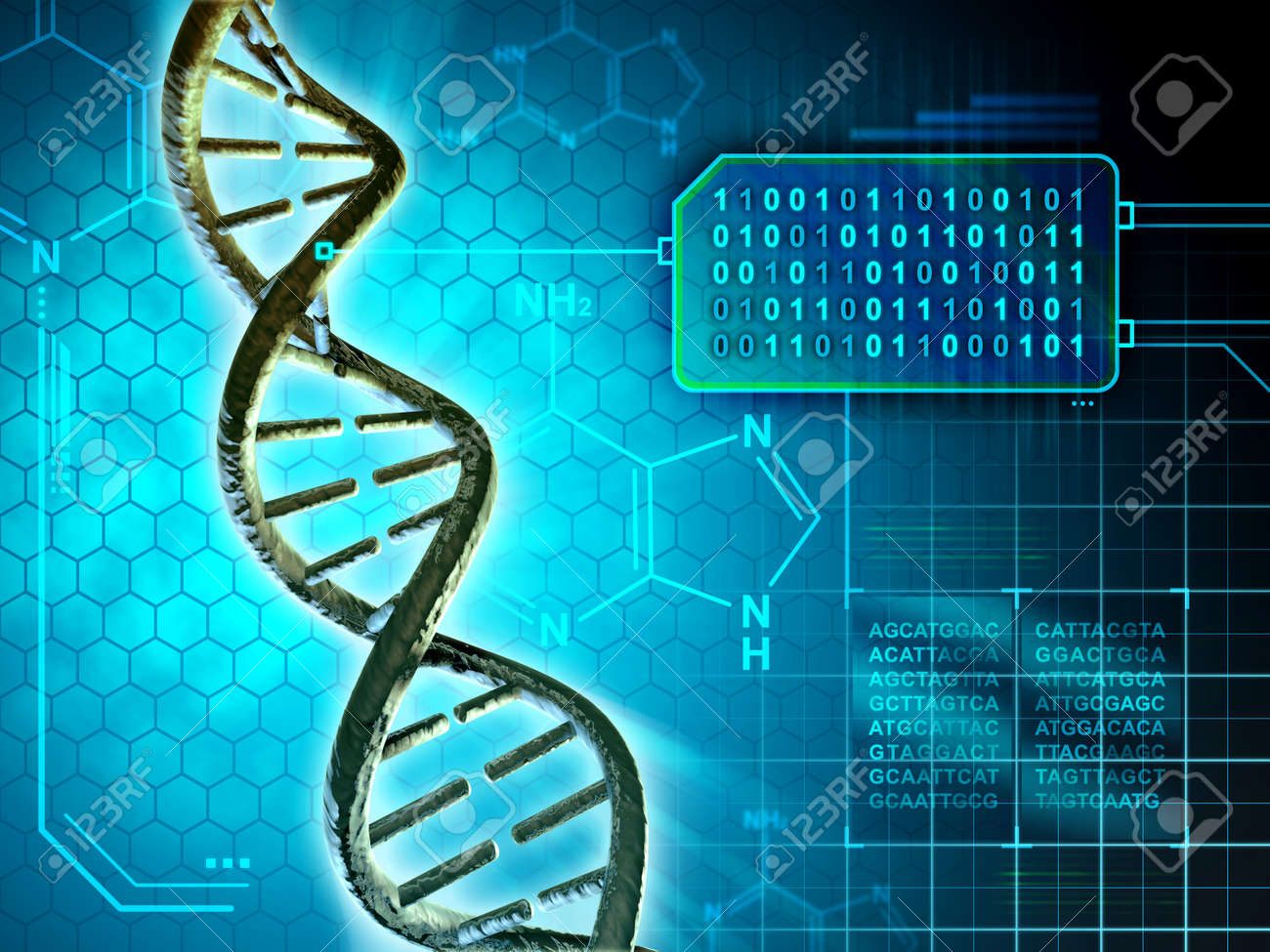 Dna structure converted into binary code. Digital illustration. - 50824627 Dna structure converted into binary code. Digital illustration. - 50824627