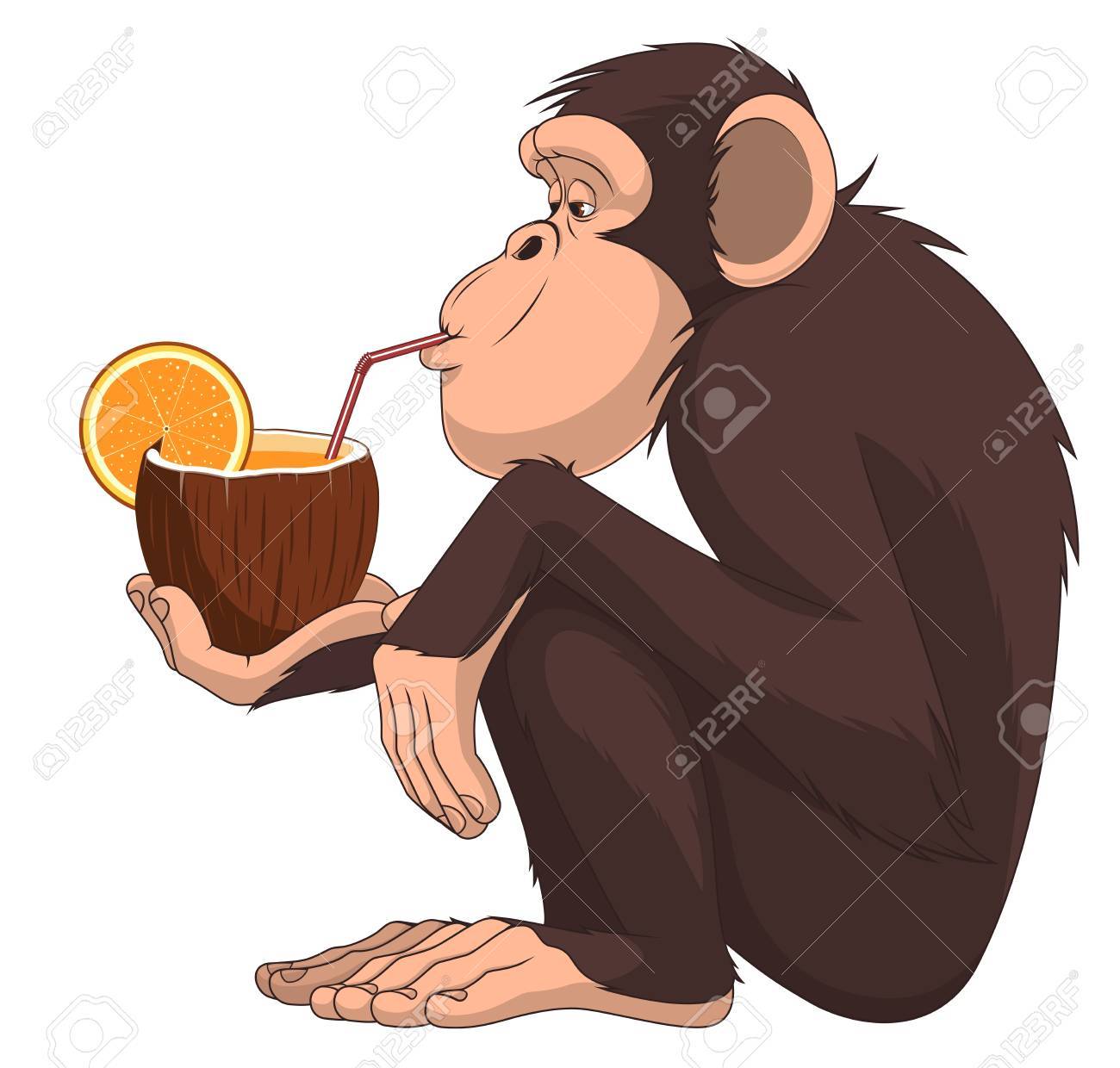 座っているとフルーツ カクテルを飲んで面白いチンパンジーのベクトル イラストのイラスト素材 ベクタ Image