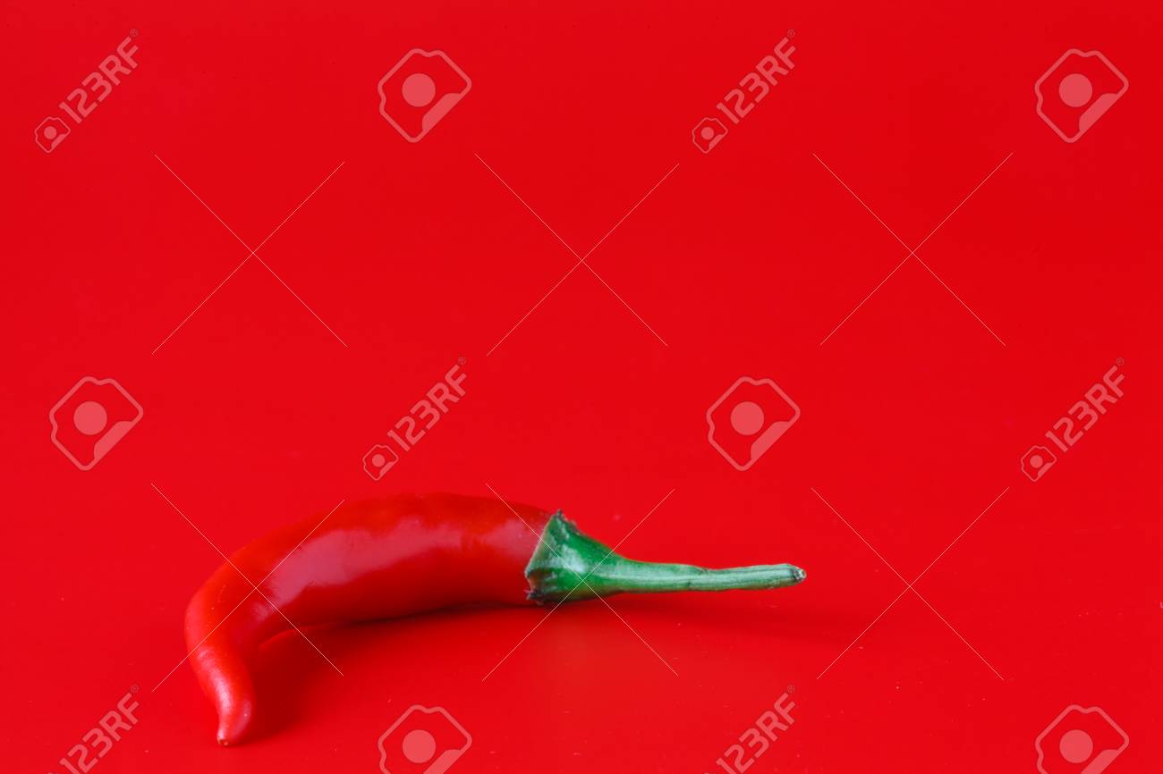 fresh chili pepper on plain red background plain red background