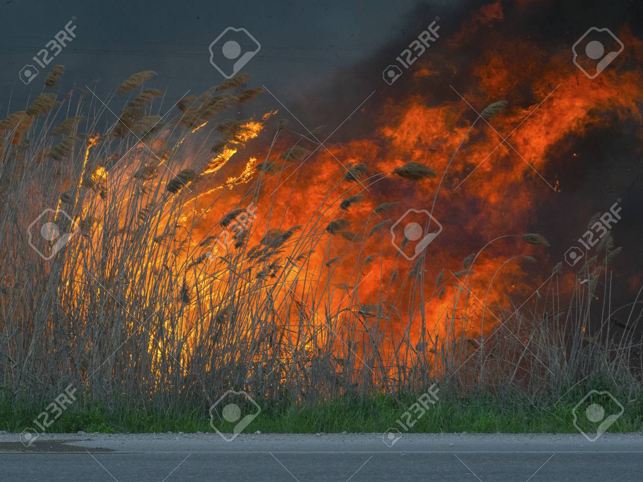 etiam-dictum-ipsum-a-felis