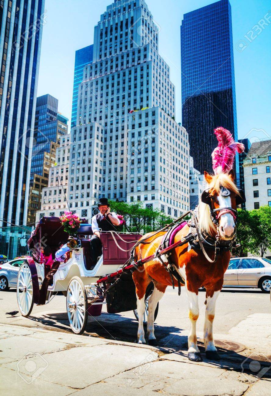 central park horse and carriage tours