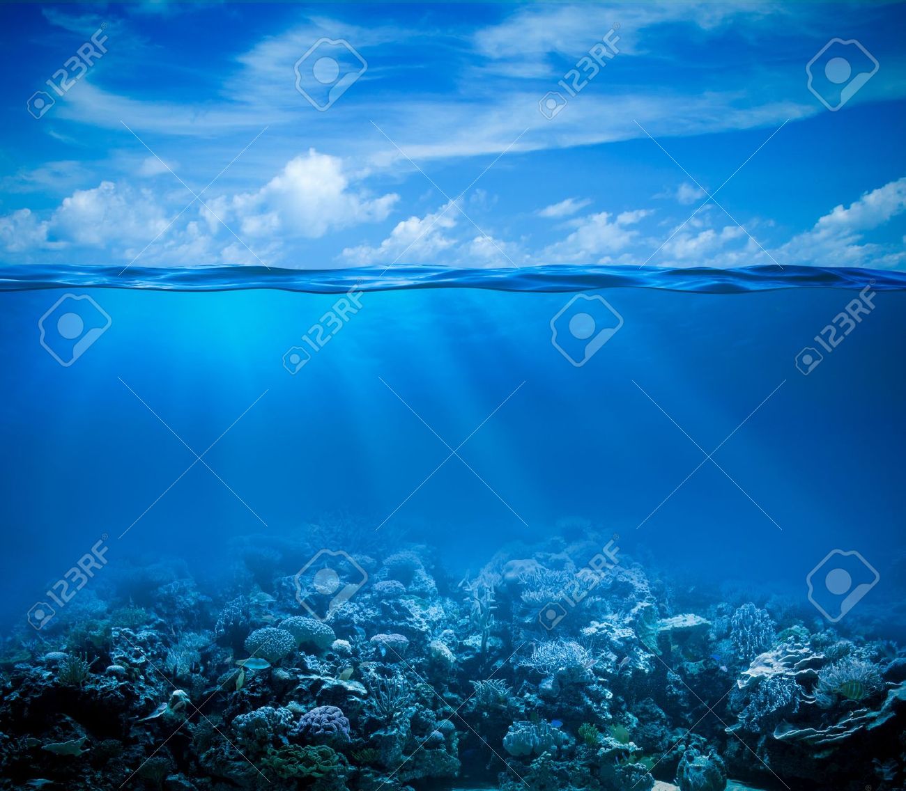 Underwater coral reef seabed view with horizon and water surface split by waterline - 16248932 Underwater coral reef seabed view with horizon and water surface split by waterline - 16248932