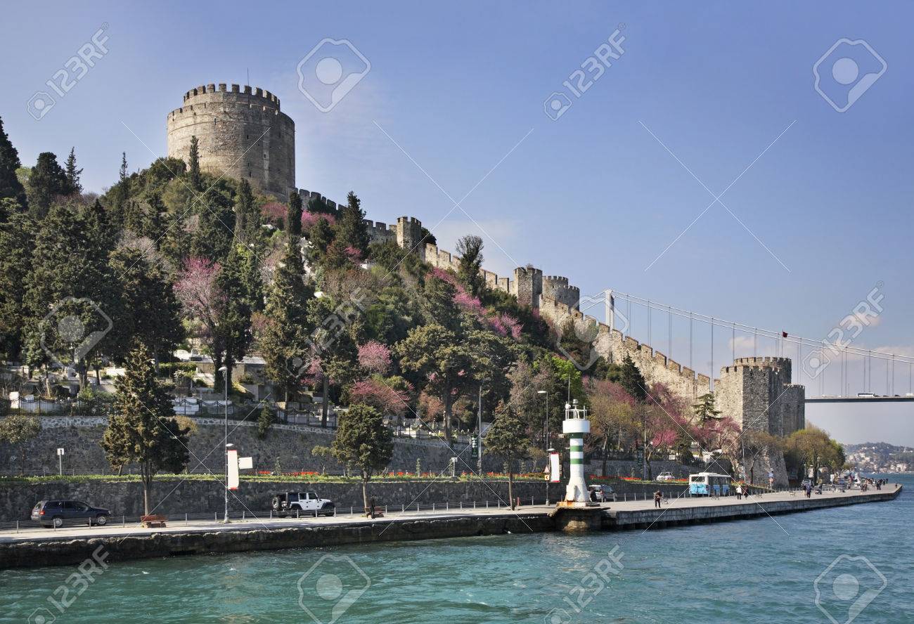 etiam-dictum-ipsum-a-felis