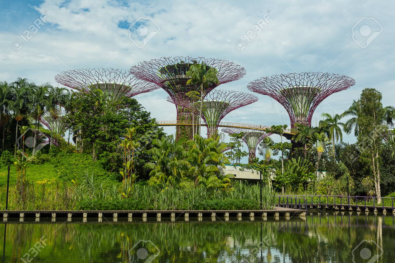 14 年 3 月 12 日にシンガポールでの湾によってシンガポール 5 月 12 日 庭園 湾に面した庭園は世界建築祭 12 年の世界の建物を戴冠 の写真素材 画像素材 Image