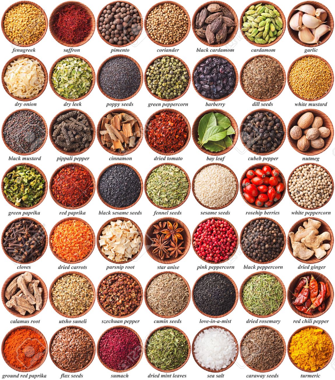 large collection of different spices and herbs with labels labels for spices