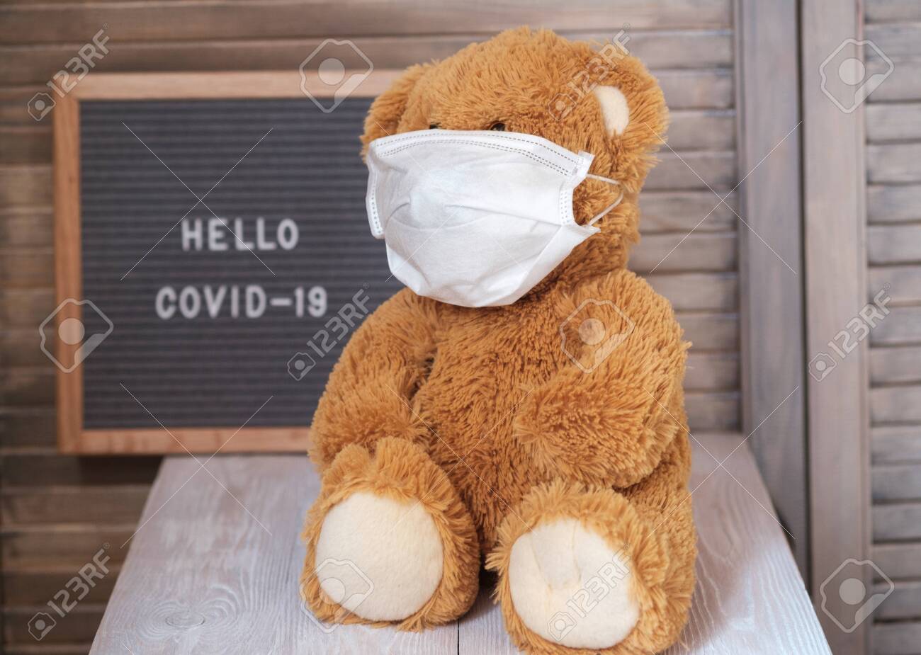 the cutest teddy bear