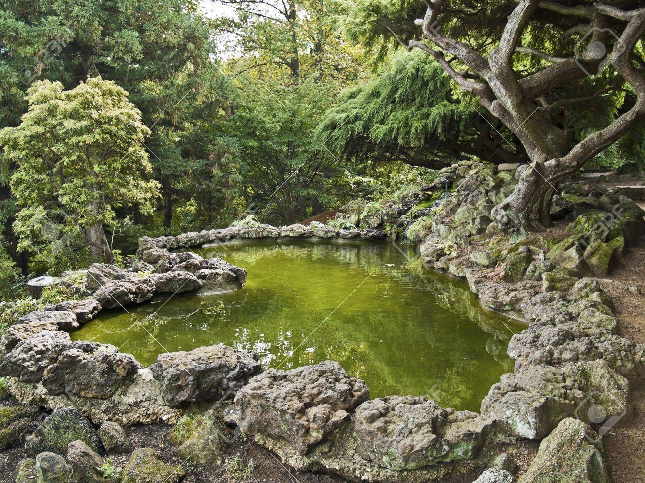 和風庭園観賞池庭園を併設し 様々 な常緑高木と石 の写真素材 画像素材 Image 和風庭園観賞池庭園を併設し 様々 な常緑高木と石 の写真素材 画像素材 Image