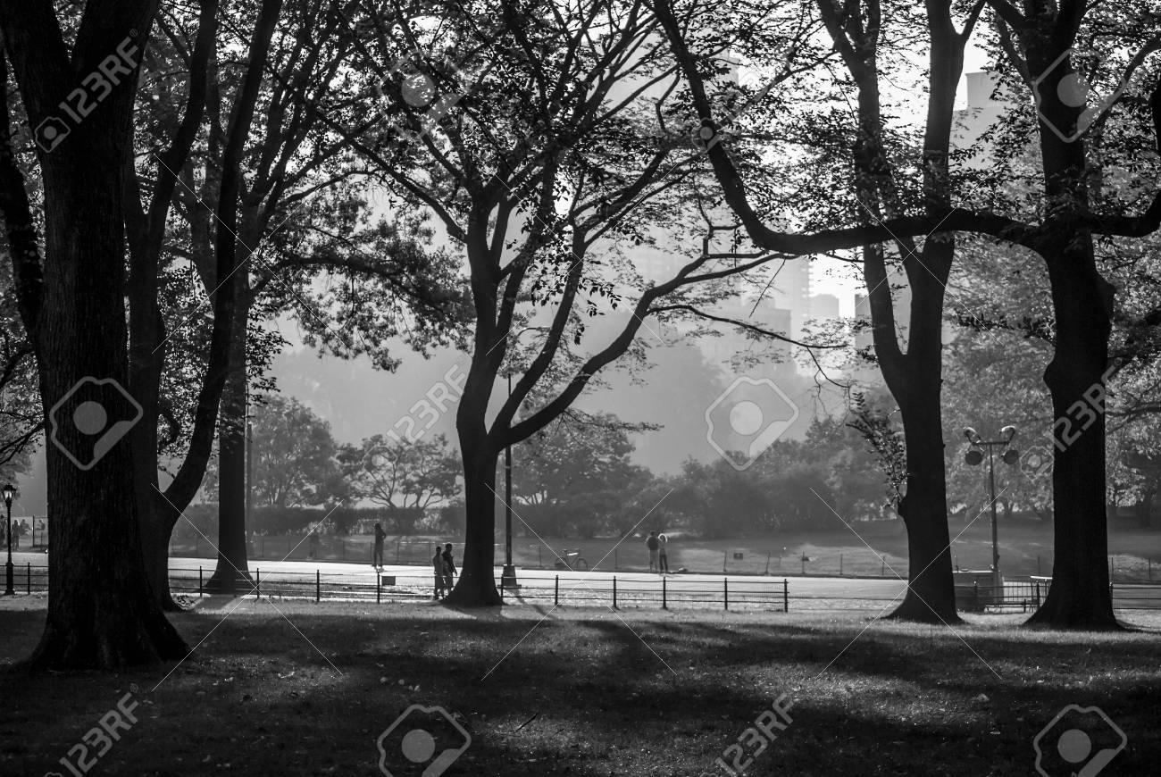 A High Contrast Black And White View Of Central Park And A Late Hazy  Afternoon In New York City. Stock Photo, Picture and Royalty Free Image.  Image 79944221., image size:1300x870
