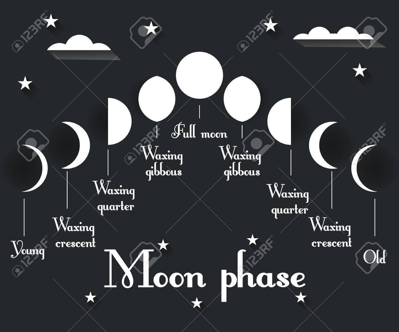 The Phases Of The Moon Vector Illustration Royalty Free Cliparts Vectors And Stock Illustration Image