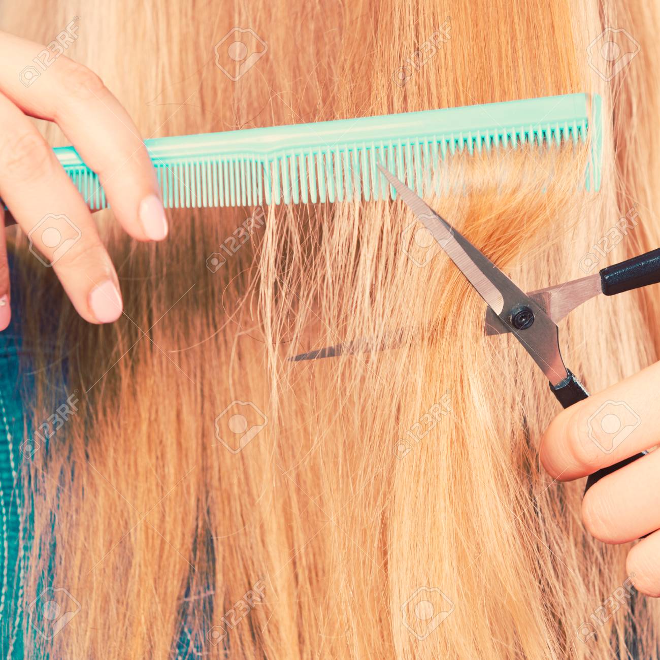 Cutting Down And Shearing Concept Blonde Woman Cuts And Combing