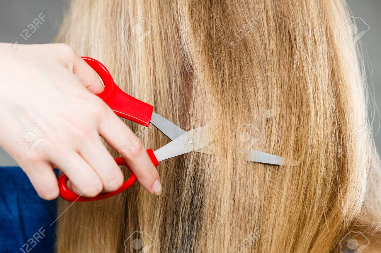 髪型と新しいイメージをカット 髪型を変えるブロンドの女性の頭 赤いはさみを持つ女性の手は 長いストレートな髪をカット の写真素材 画像素材 Image