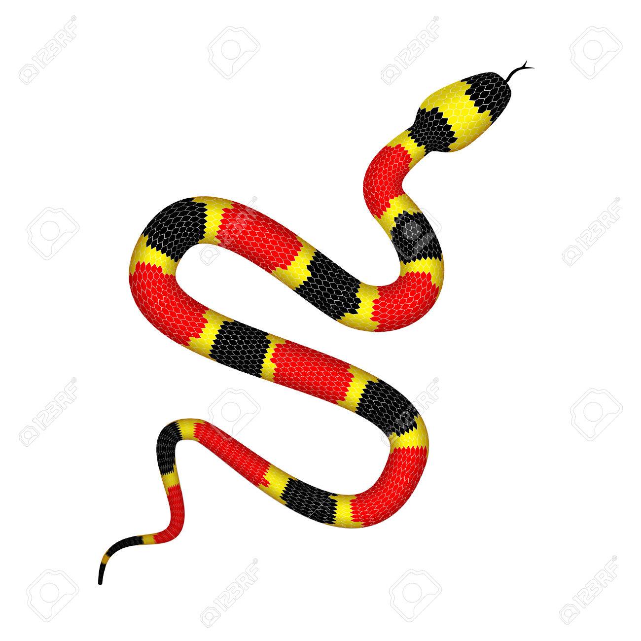 白い背景に分離された珊瑚ヘビや Micrurus の 3 D イラストレーション ベクター 赤 黒と黄色の縞模様の蛇 のイラスト素材 ベクタ Image