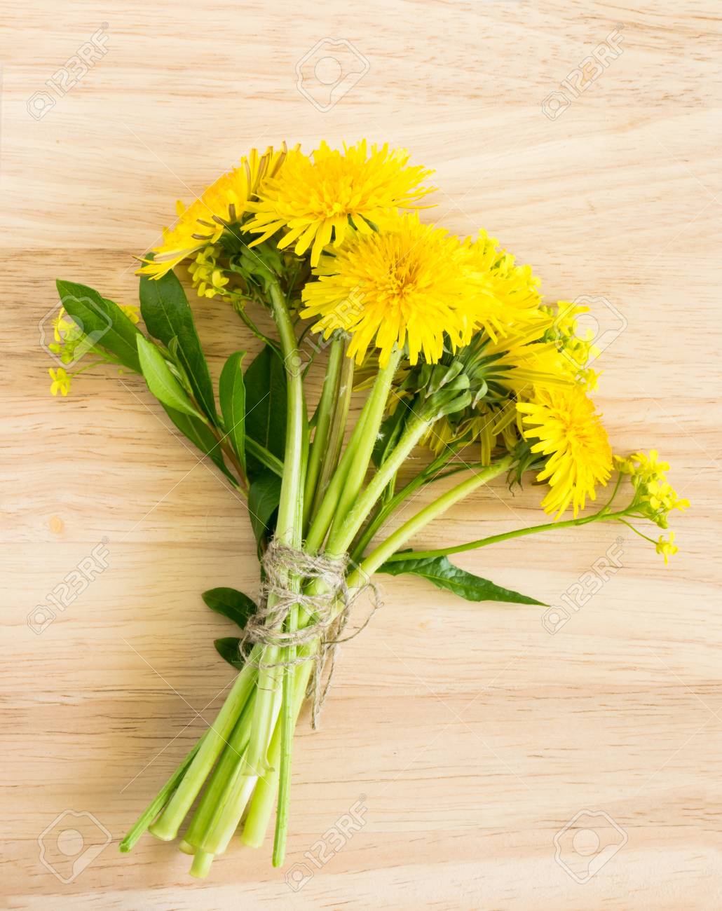 洒落袋帯 春の花 つくし たんぽぽ 【公式通販】