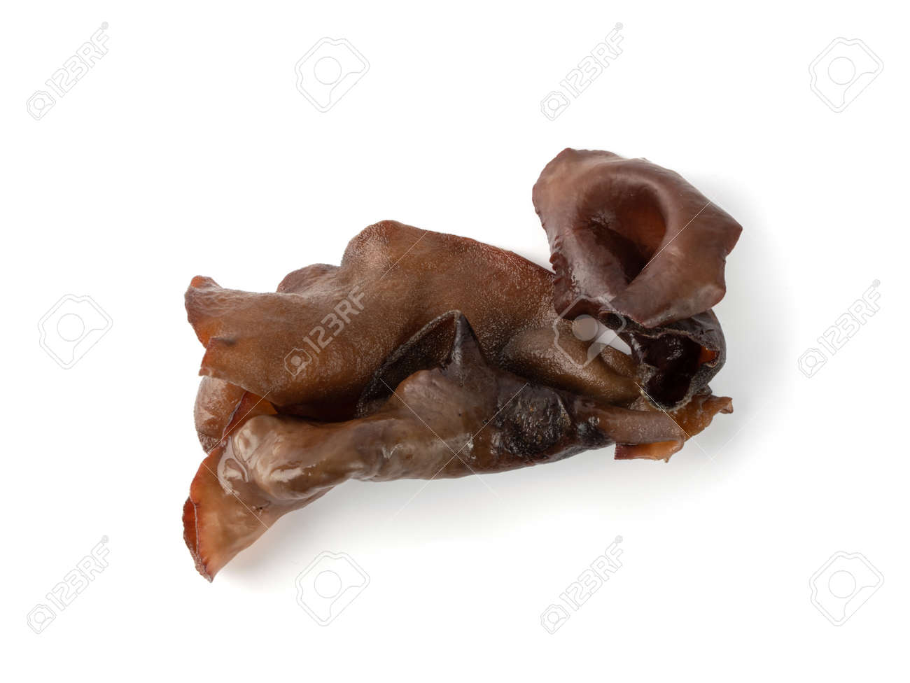 Wet black fungus, tree ear or wood ear mushroom isolated on white  background top view. Soaked dry auricularia polytricha also known as cloud  ear, black mushroom, jelly fungus or cloud ear fungus, image size:1300x976
