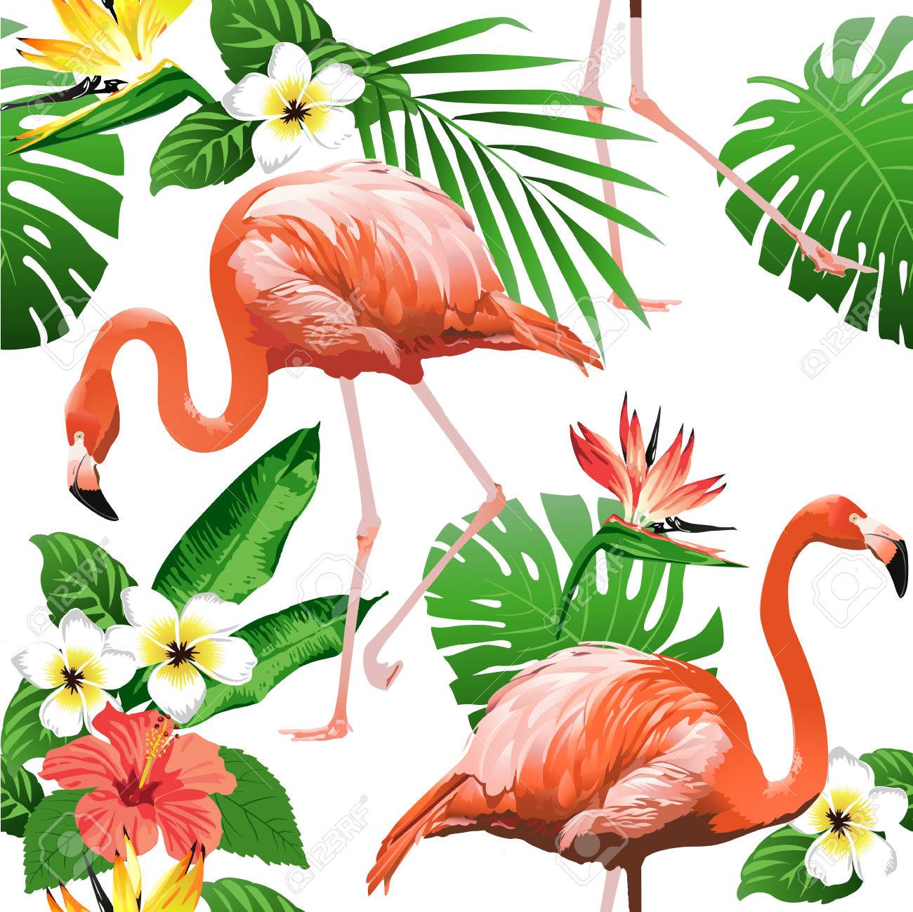 Flamingo Bird and Tropical Flowers Background - Seamless pattern vector - 81374671 Flamingo Bird and Tropical Flowers Background - Seamless pattern vector - 81374671
