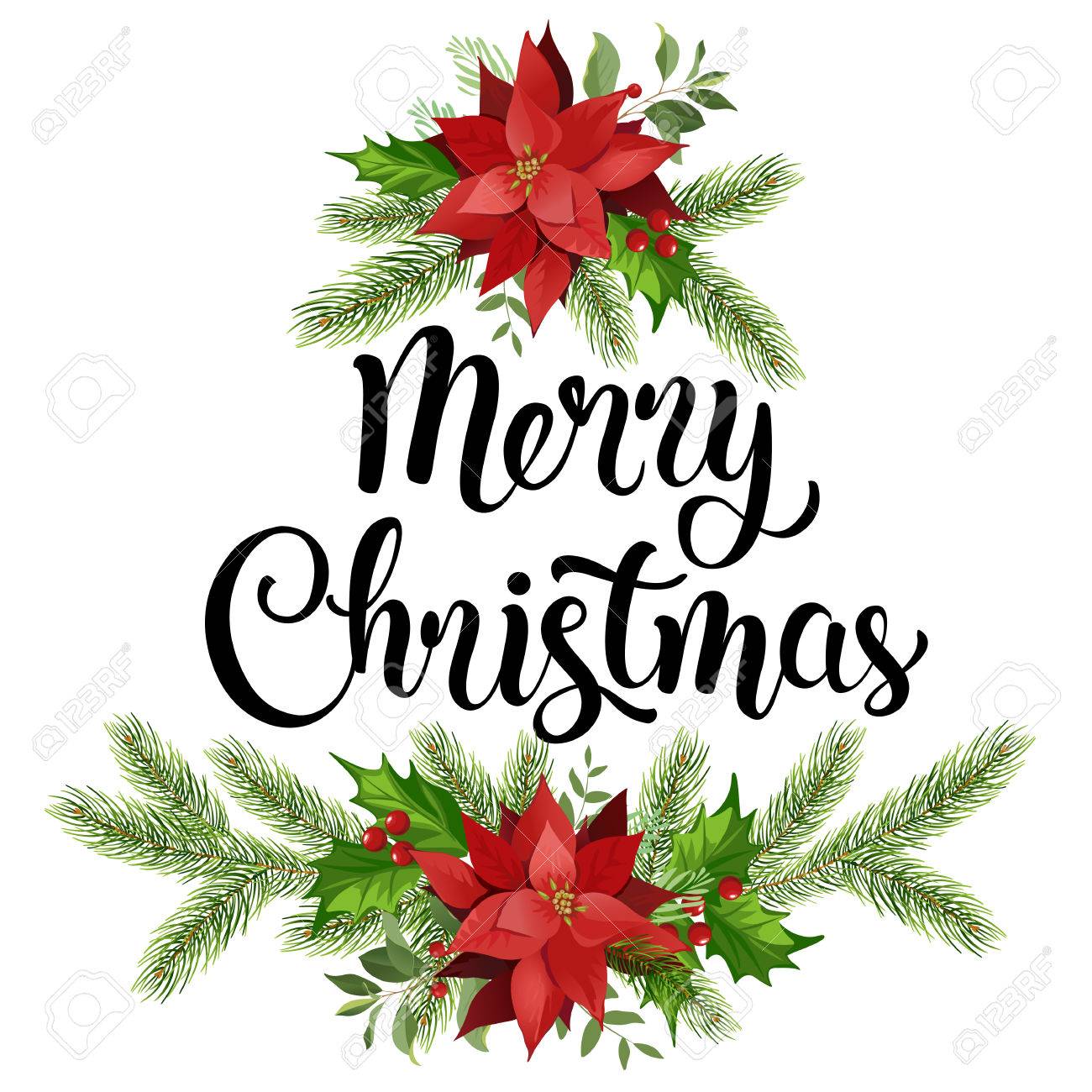 christmas design composition wreath of red poinsettia and leaves poinsetta design