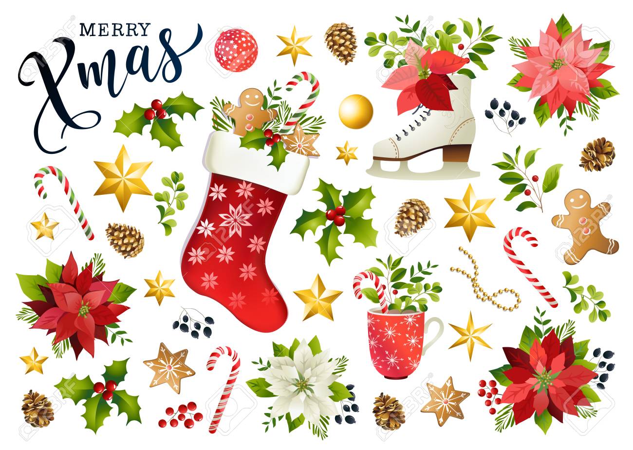 Christmas set design composition of poinsettia, fir branches, cones, holly and other plants. Cover, invitation, banner, greeting card. Vector illustration. - 107301199 Christmas set design composition of poinsettia, fir branches, cones, holly and other plants. Cover, invitation, banner, greeting card. Vector illustration. - 107301199