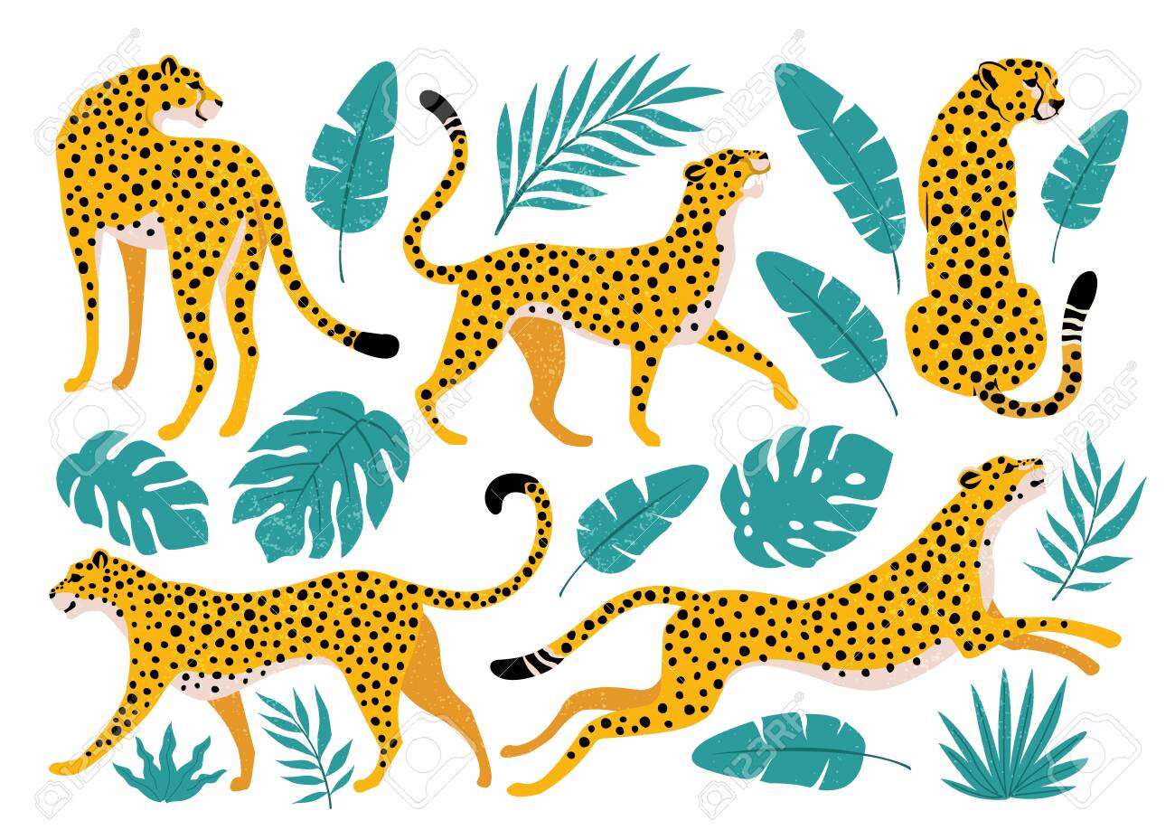 Vector set of leopards and tropical leaves. Trendy illustration. - 134337405 Vector set of leopards and tropical leaves. Trendy illustration. - 134337405