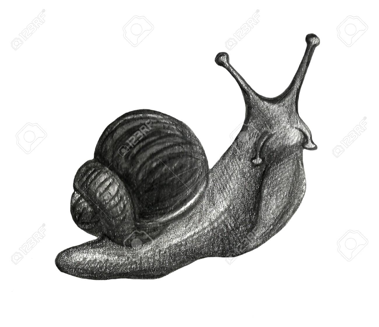 Cute Snail Cartoon Set Of Funny Ethnic Drawings. Drawing By Hand, Pencil, Watercolor Wash. Stock Photo, Picture And Royalty Free Image. Image 136072499. Cute Snail Cartoon Set Of Funny Ethnic Drawings. Drawing By Hand, Pencil, Watercolor Wash. Stock Photo, Picture And Royalty Free Image. Image 136072499.