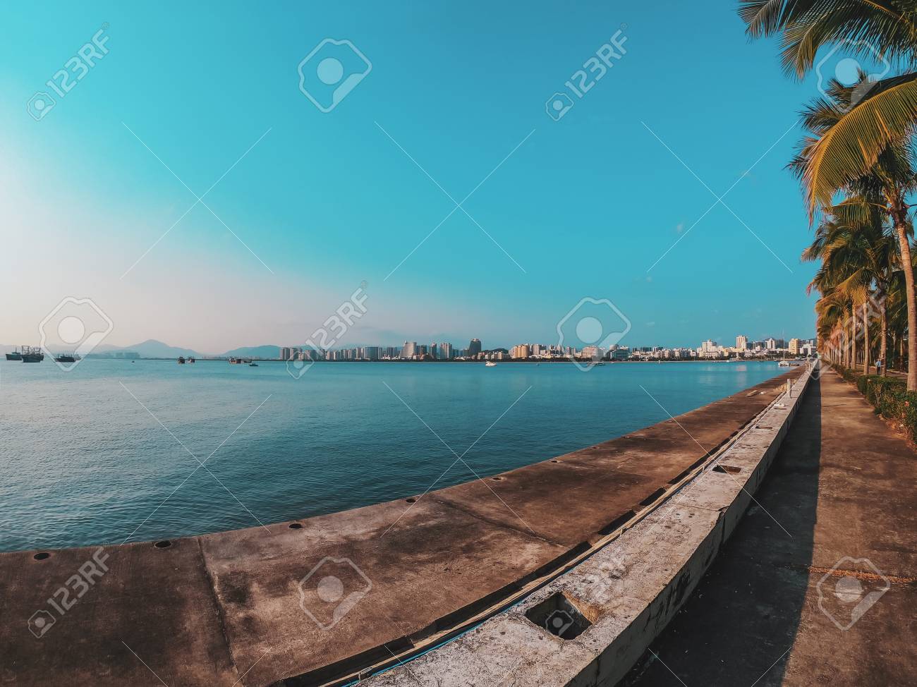 Nice asfalt road with palm trees against the blue sky and cloud. Palm trees grow along the road by the sea in China. Colorful image for the screen saver on the desktop. - 126731532 Nice asfalt road with palm trees against the blue sky and cloud. Palm trees grow along the road by the sea in China. Colorful image for the screen saver on the desktop. - 126731532