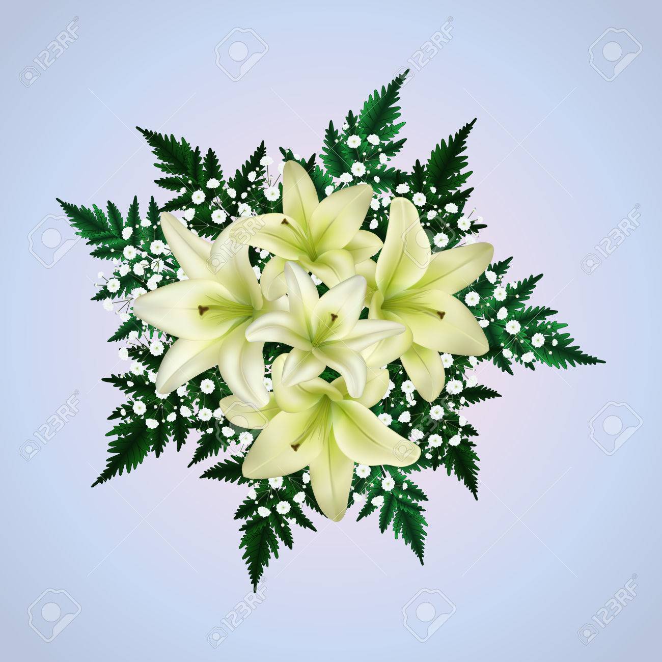 Illustration Du Bouquet De Lys Blanc Et De Fleurs De Gypsophile Avec Des Branches De Fougère