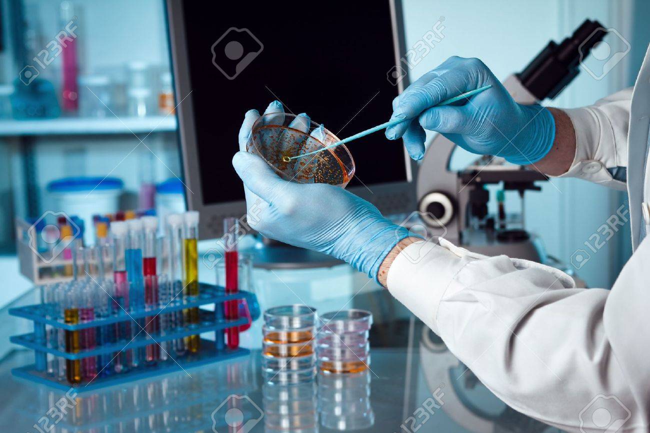 A scientist holding a petri dish in the lab with a monitor and microscope in background - 20271236 A scientist holding a petri dish in the lab with a monitor and microscope in background - 20271236