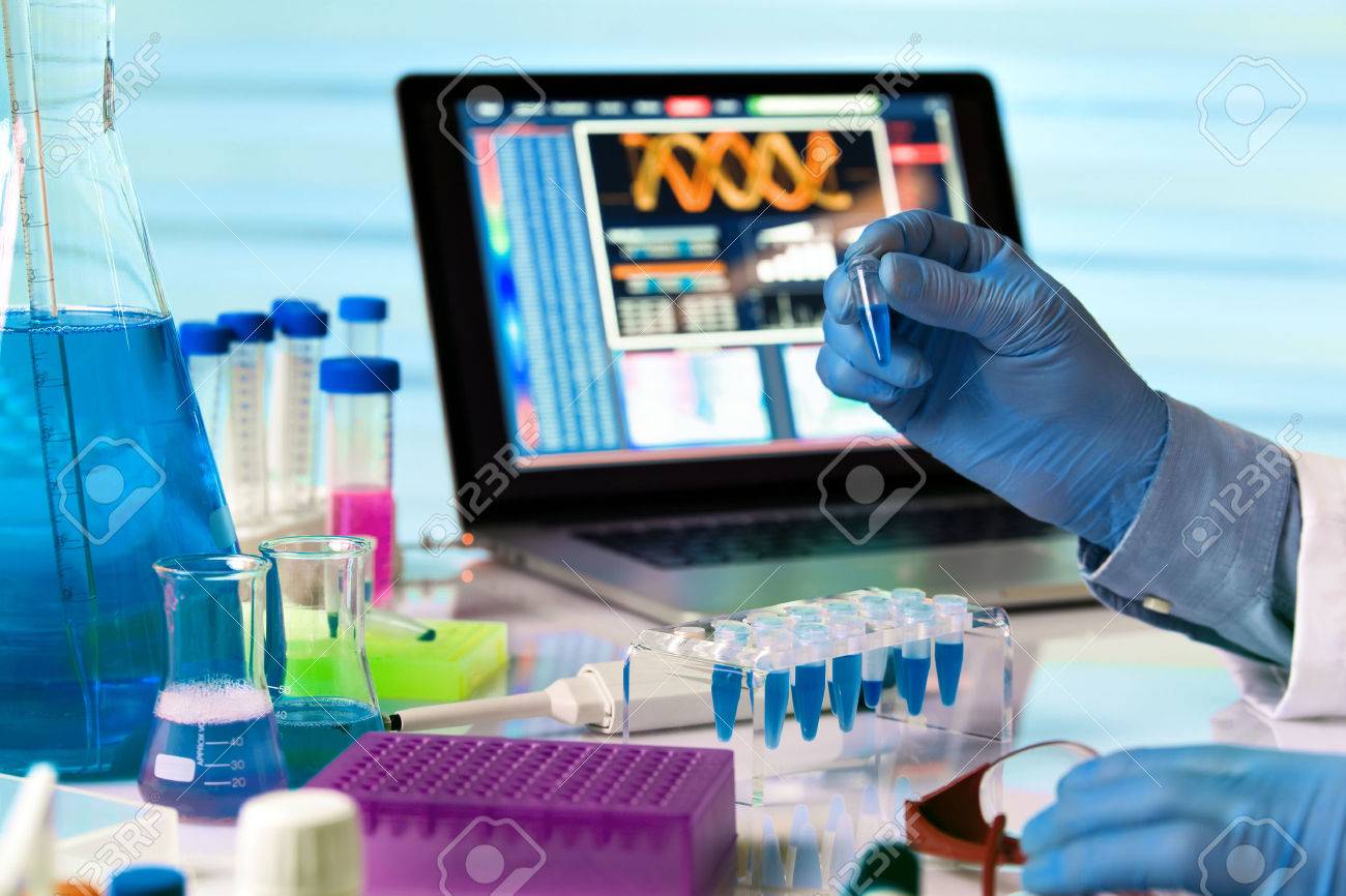 scientist holding tube and working with laptop in genetics lab / engineer genetic working in laboratory - 59194947 scientist holding tube and working with laptop in genetics lab / engineer genetic working in laboratory - 59194947