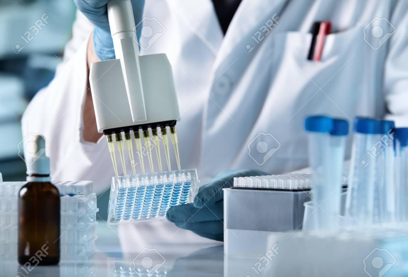 hands of scientist working with multichannel pipette and multi well plates / research technician with multipipette in genetic laboratory - 109284497 hands of scientist working with multichannel pipette and multi well plates / research technician with multipipette in genetic laboratory - 109284497
