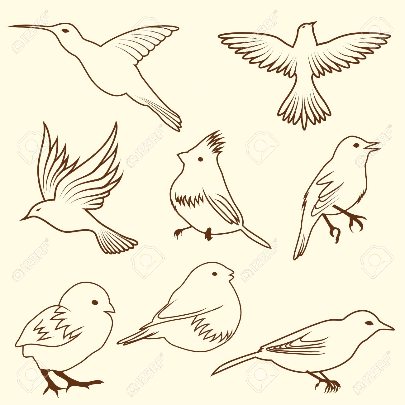 Satz Von Verschiedenen Skizze Vogel. Illustration Für Design Verwenden.  Lizenzfrei nutzbare SVG, Vektorgrafiken, Clip Arts, Illustrationen. Image  10960214.
