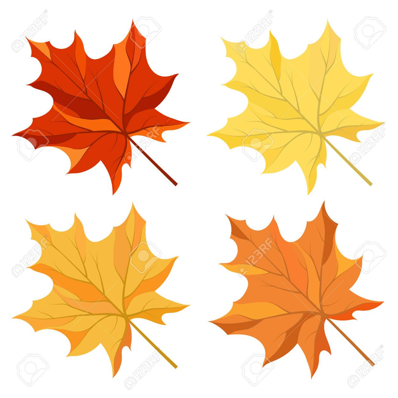 Autumn color maple leaves set - 43156728 Autumn color maple leaves set - 43156728