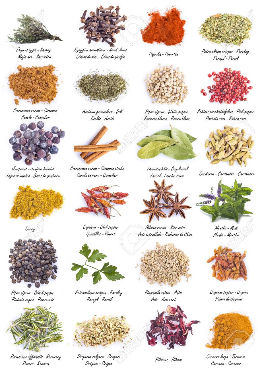 Herbs And Spices For Cooking Isolated 