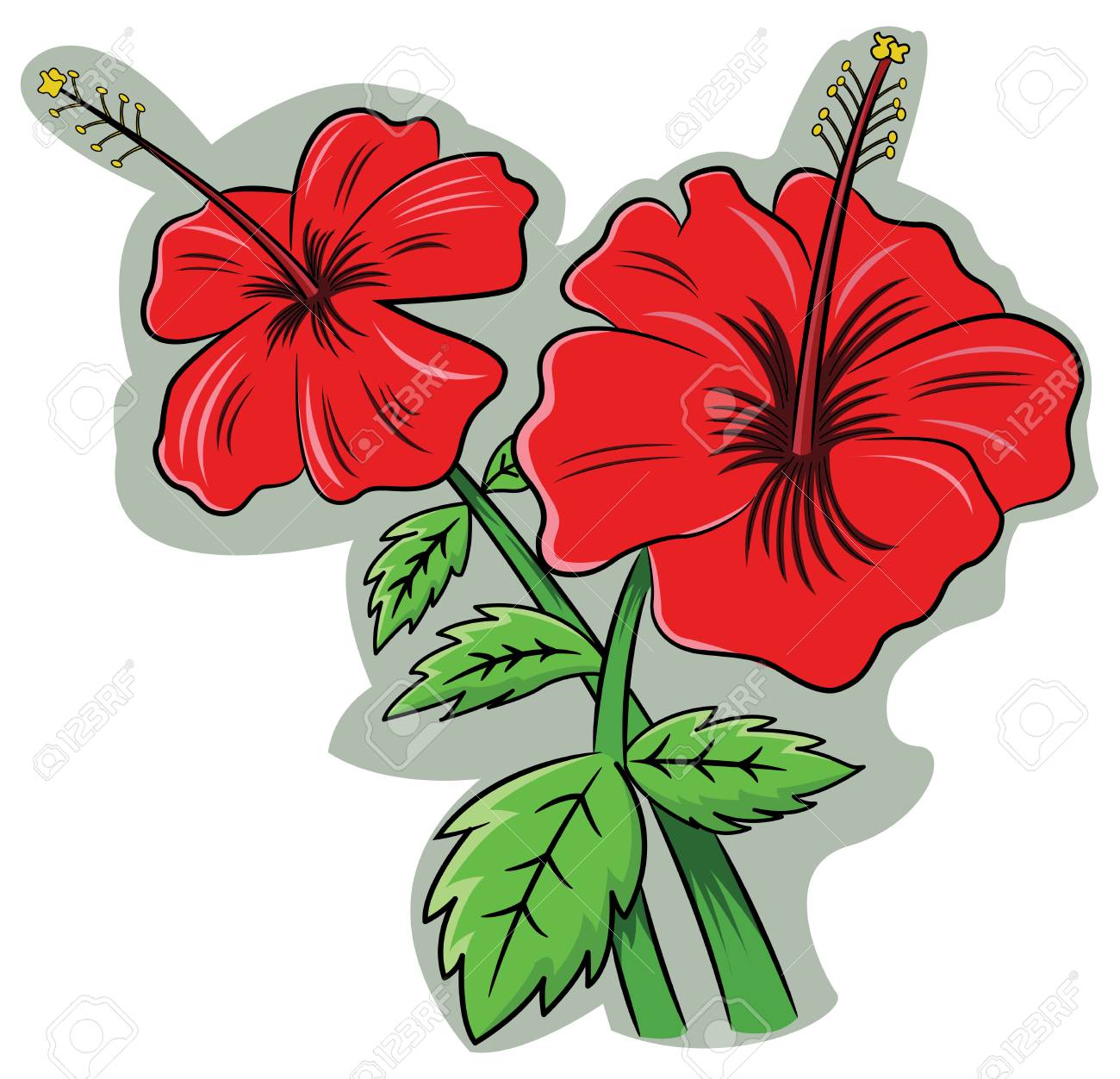 ハイビスカスローザ ススキ のイラスト素材 ベクタ Image