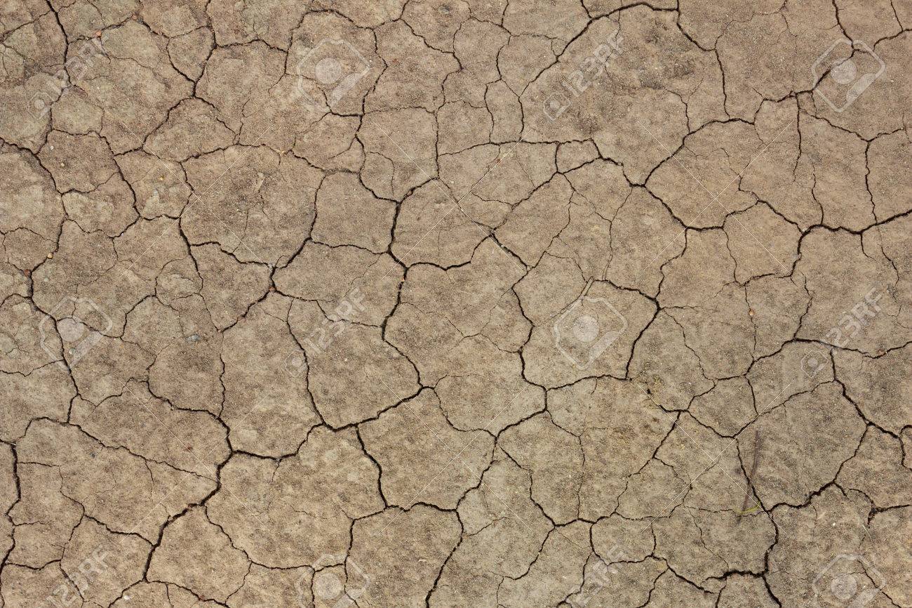 乾燥地 の写真素材 画像素材 Image