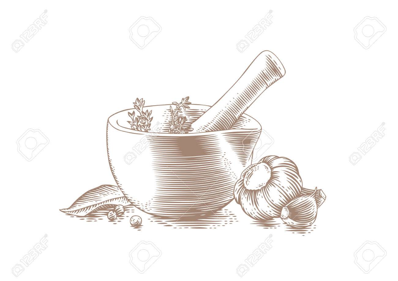 Drawing Of Mortar Bowl With Pestle, Spice, Herbs And Garlic Clip ... for Mortar And Pestle Drawing
584dqh Drawing Of Mortar Bowl With Pestle, Spice, Herbs And Garlic Clip ... for Mortar And Pestle Drawing
584dqh