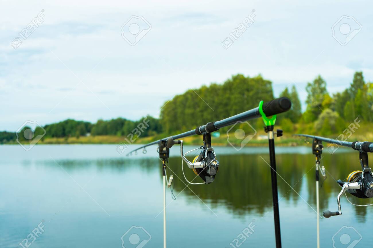carp poles